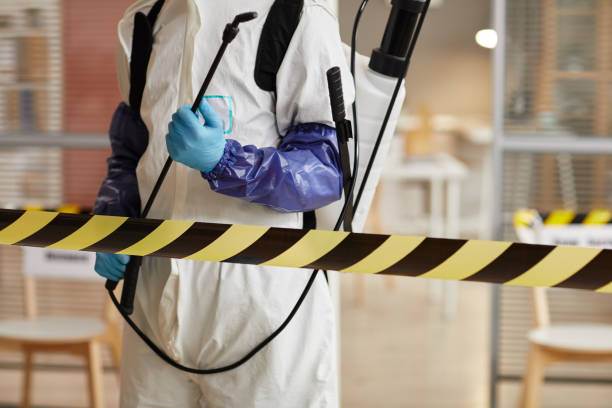 Professional Hoarding Cleanup technician working in Irvington, NJ